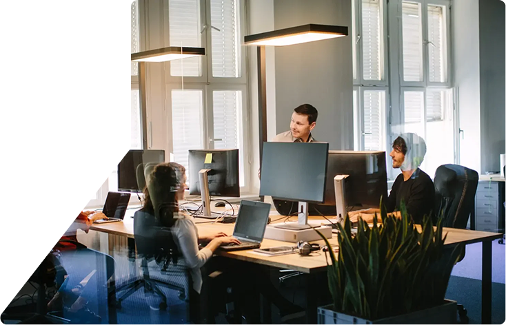 Digital Solutions for Your Business