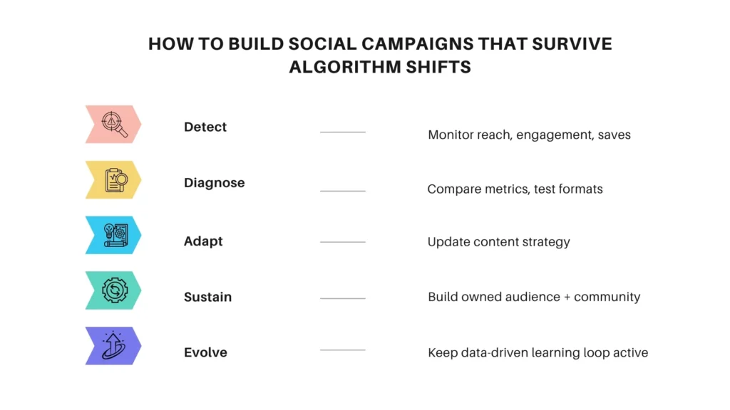 Blueprint showing the 5 steps to adapt social campaigns to algorithm changes.
